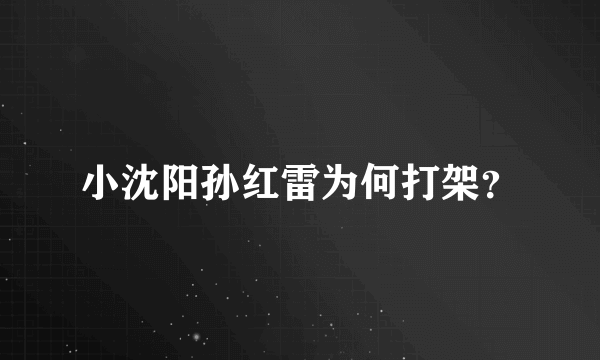 小沈阳孙红雷为何打架？