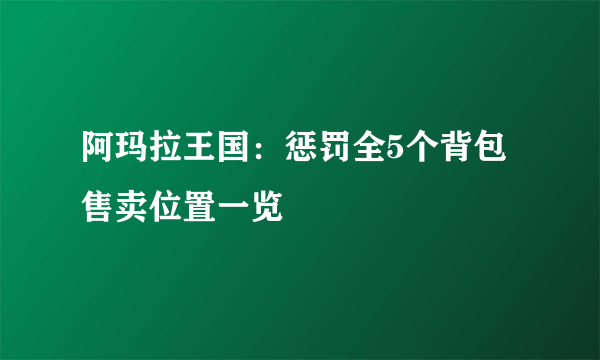 阿玛拉王国：惩罚全5个背包售卖位置一览