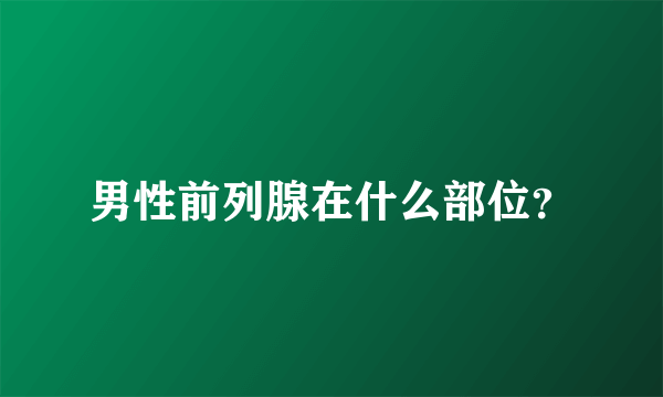 男性前列腺在什么部位？