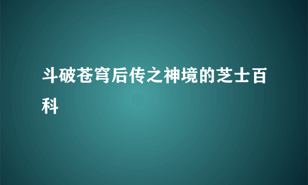 斗破苍穹后传之神境的芝士百科