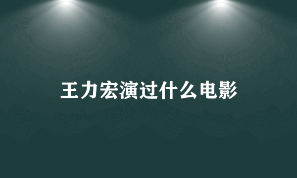 王力宏演过什么电影