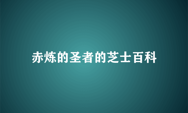 赤炼的圣者的芝士百科