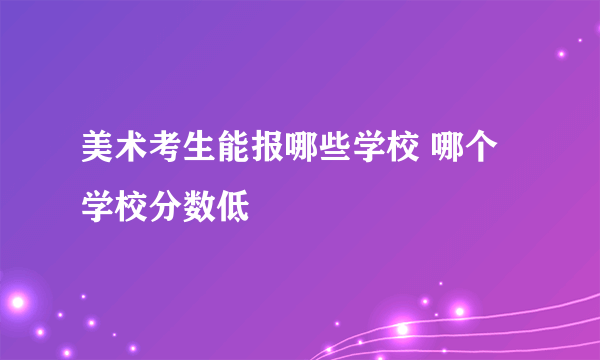 美术考生能报哪些学校 哪个学校分数低