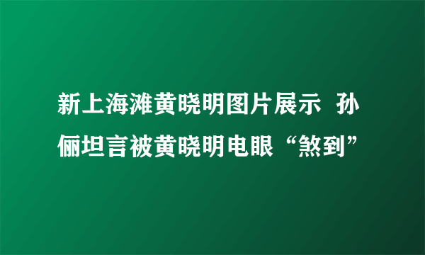 新上海滩黄晓明图片展示  孙俪坦言被黄晓明电眼“煞到”