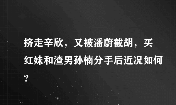 挤走辛欣，又被潘蔚截胡，买红妹和渣男孙楠分手后近况如何？