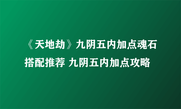 《天地劫》九阴五内加点魂石搭配推荐 九阴五内加点攻略