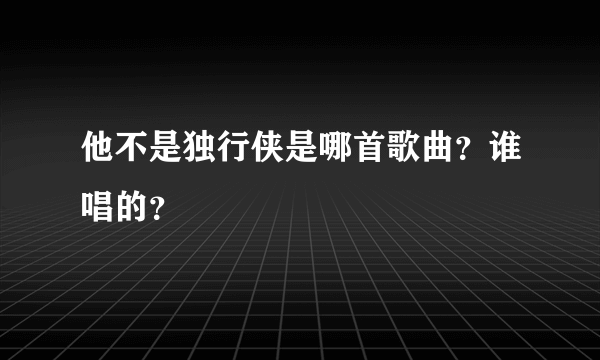 他不是独行侠是哪首歌曲？谁唱的？