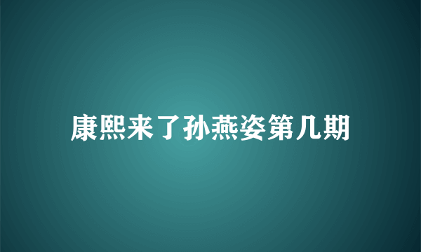 康熙来了孙燕姿第几期