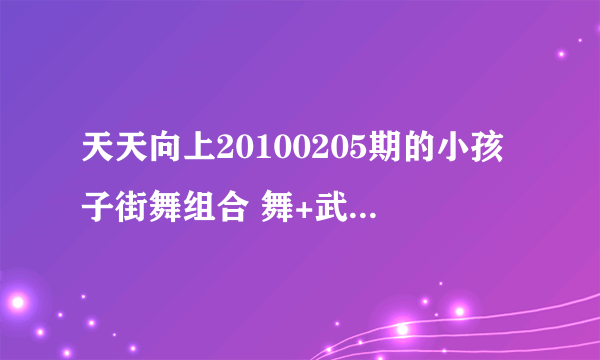 天天向上20100205期的小孩子街舞组合 舞+武 的队长叫什么？