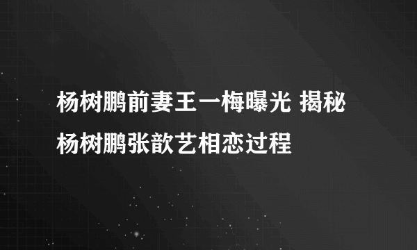 杨树鹏前妻王一梅曝光 揭秘杨树鹏张歆艺相恋过程