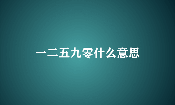 一二五九零什么意思