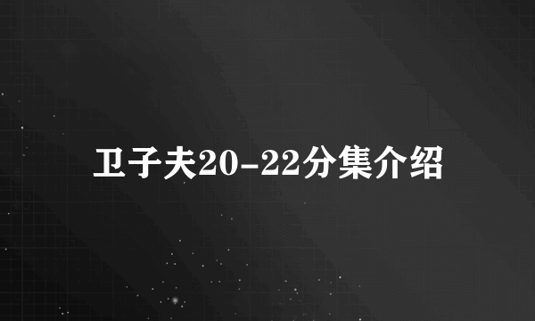 卫子夫20-22分集介绍