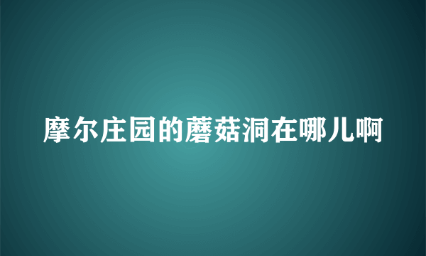 摩尔庄园的蘑菇洞在哪儿啊