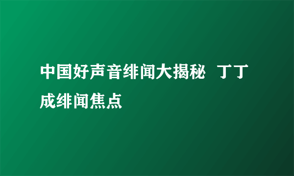 中国好声音绯闻大揭秘  丁丁成绯闻焦点