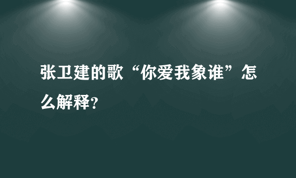 张卫建的歌“你爱我象谁”怎么解释？