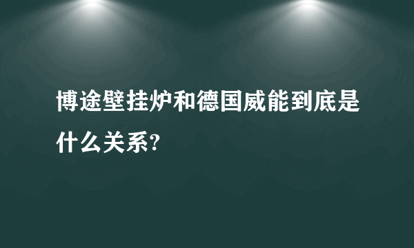 博途壁挂炉和德国威能到底是什么关系?