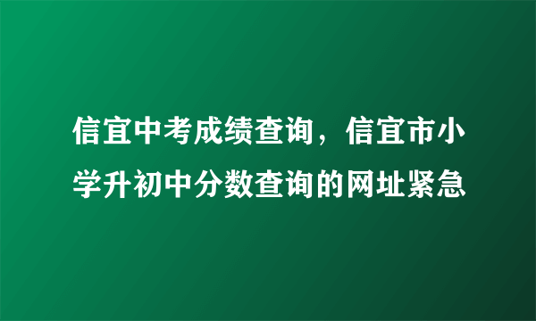 信宜中考成绩查询，信宜市小学升初中分数查询的网址紧急