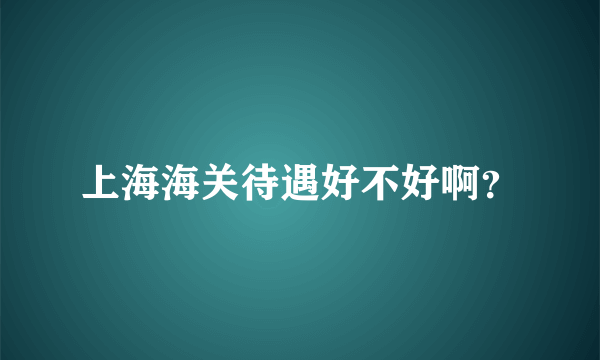 上海海关待遇好不好啊？