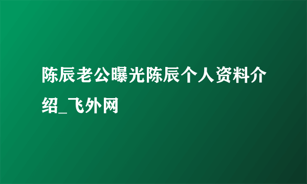 陈辰老公曝光陈辰个人资料介绍_飞外网