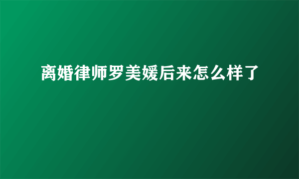 离婚律师罗美媛后来怎么样了