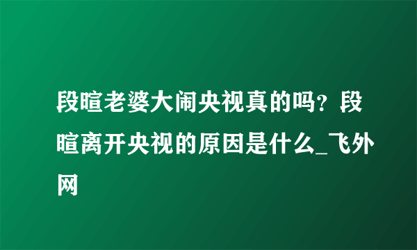 段暄老婆大闹央视真的吗？段暄离开央视的原因是什么_飞外网