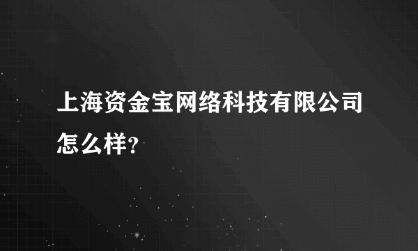 上海资金宝网络科技有限公司怎么样？