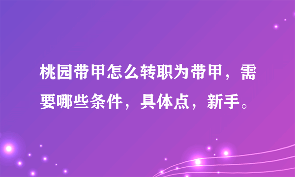 桃园带甲怎么转职为带甲，需要哪些条件，具体点，新手。