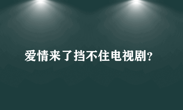 爱情来了挡不住电视剧？