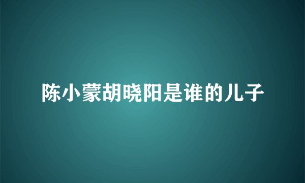 陈小蒙胡晓阳是谁的儿子