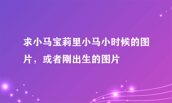 求小马宝莉里小马小时候的图片，或者刚出生的图片