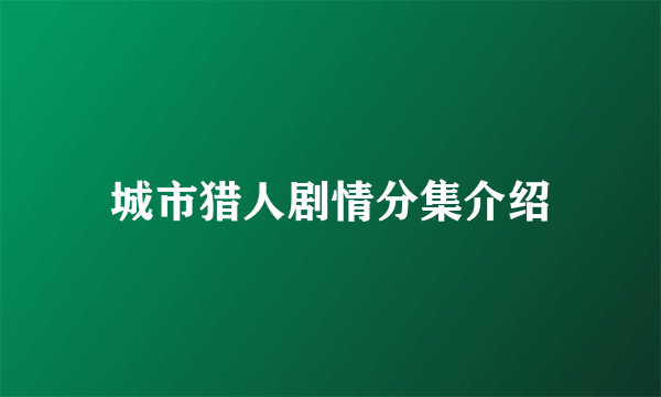 城市猎人剧情分集介绍