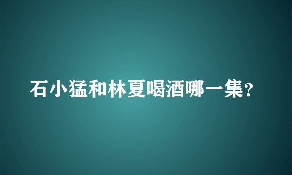 石小猛和林夏喝酒哪一集？