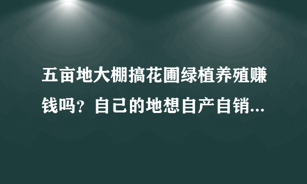 五亩地大棚搞花圃绿植养殖赚钱吗？自己的地想自产自销，花盆也自己做……