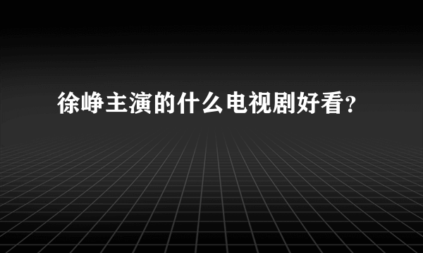 徐峥主演的什么电视剧好看？