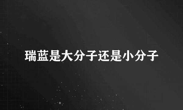 瑞蓝是大分子还是小分子