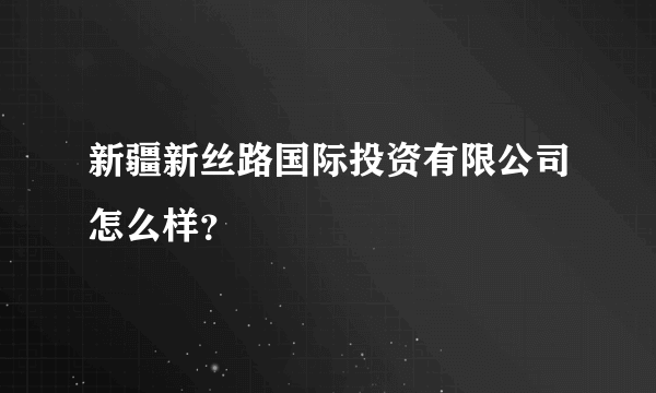 新疆新丝路国际投资有限公司怎么样？