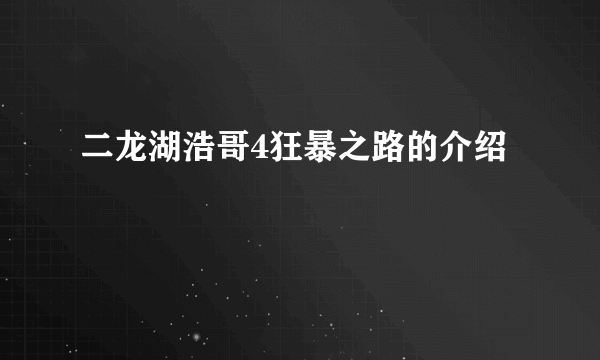 二龙湖浩哥4狂暴之路的介绍