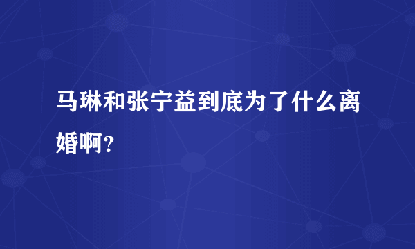 马琳和张宁益到底为了什么离婚啊？