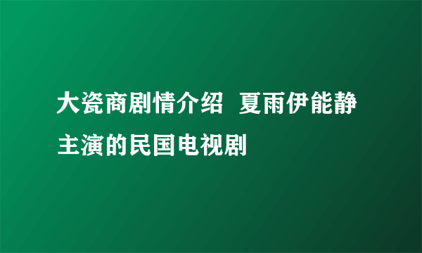 大瓷商剧情介绍  夏雨伊能静主演的民国电视剧