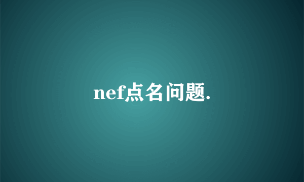 nef点名问题.