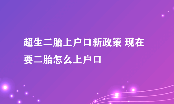 超生二胎上户口新政策 现在要二胎怎么上户口