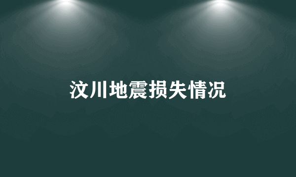 汶川地震损失情况