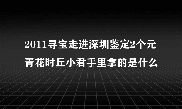 2011寻宝走进深圳鉴定2个元青花时丘小君手里拿的是什么