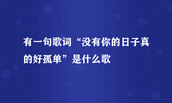 有一句歌词“没有你的日子真的好孤单”是什么歌