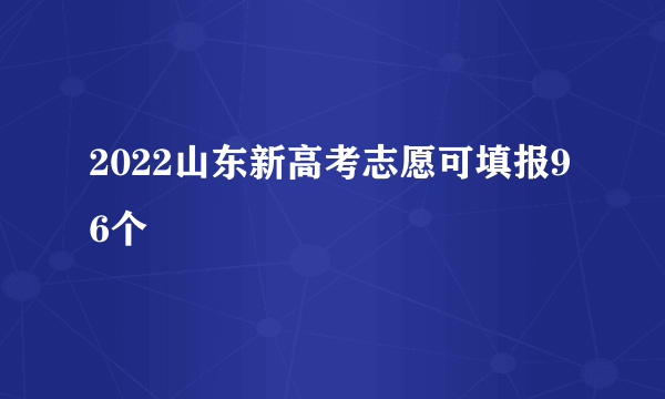 2022山东新高考志愿可填报96个