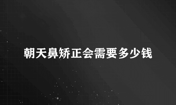 朝天鼻矫正会需要多少钱