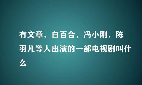 有文章，白百合，冯小刚，陈羽凡等人出演的一部电视剧叫什么