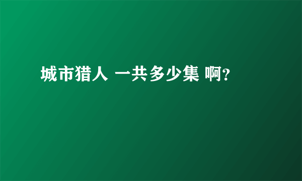 城市猎人 一共多少集 啊？