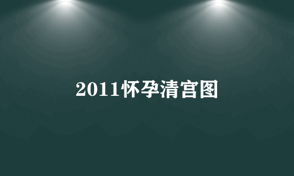 2011怀孕清宫图