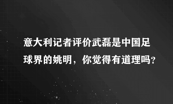 意大利记者评价武磊是中国足球界的姚明，你觉得有道理吗？